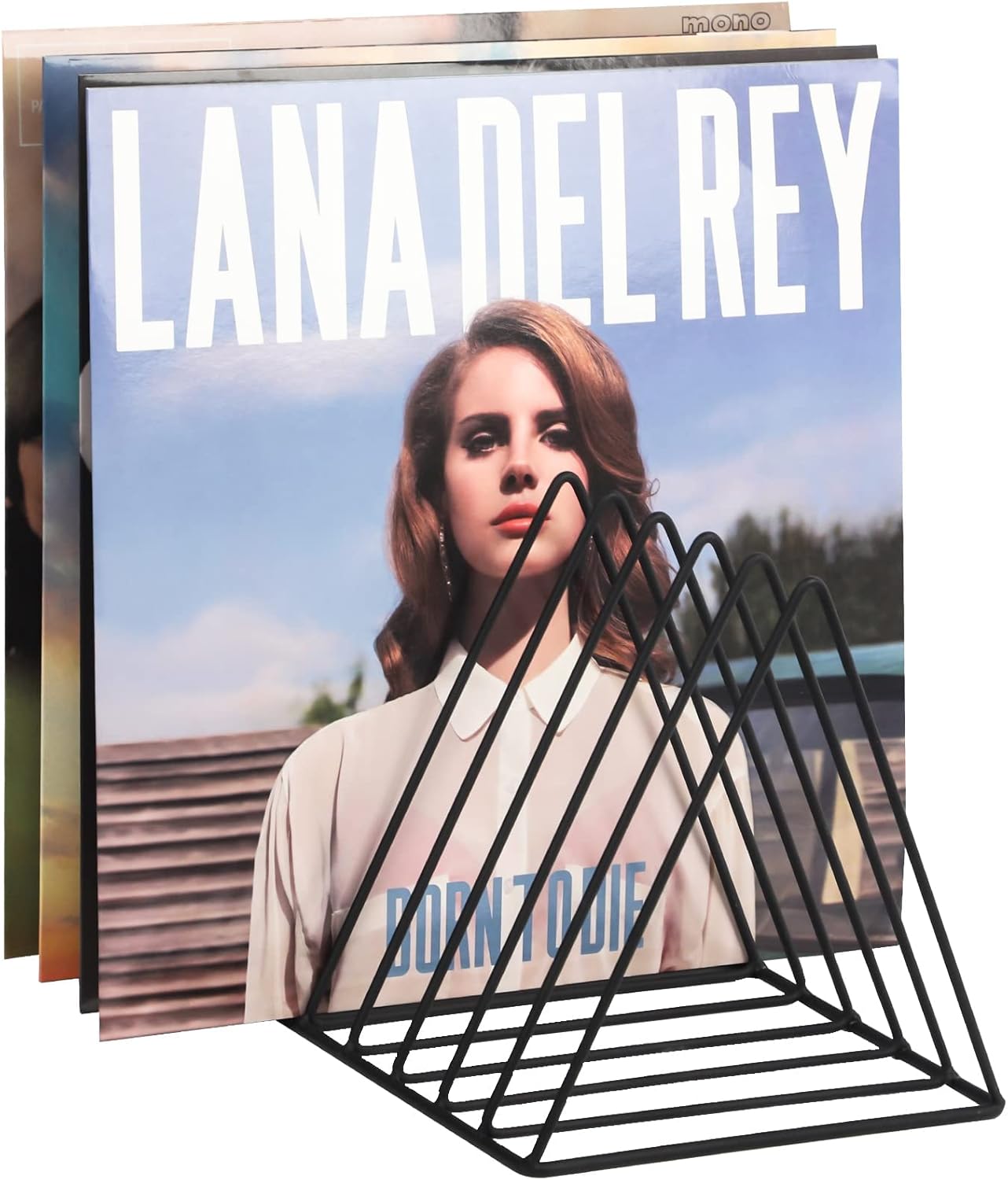 9 Slot Vinyl Record Holder, Tr – Magazine Holder Rack recenzja i cena